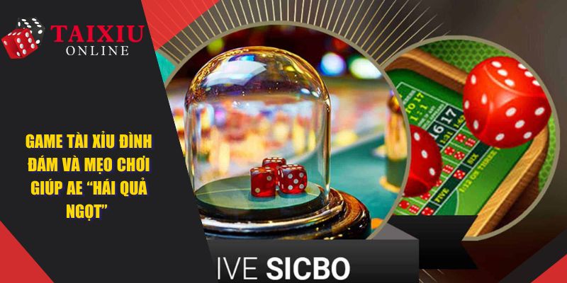 Game Tài Xỉu Đình Đám Và Mẹo Chơi Giúp AE Hái Quả Ngọt