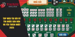 Top Web Tài Xỉu Uy Tín Được Săn Đón Và Yêu Thích Nhất 2025