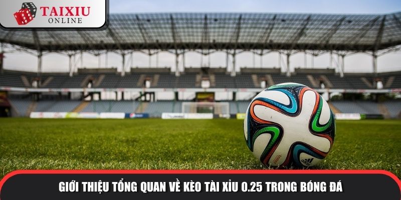 keo tai xiu 0.25 1 1000 Giới thiệu tổng quan về kèo tài xỉu 0.25 trong bóng đá