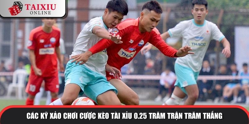 keo tai xiu 0.25 3 1000 Các kỹ xảo chơi cược kèo tài xỉu 0.25 trăm trận trăm thắng