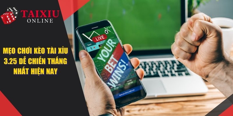 Mẹo Chơi Kèo Tài Xỉu 3.25 Dễ Chiến Thắng Nhất Hiện Nay