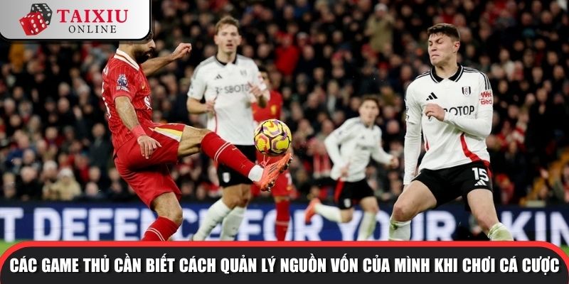 tai xiu bong da euro 3 1096 Các game thủ cần biết cách quản lý nguồn vốn của mình khi chơi cá cược