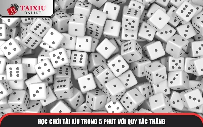 Học chơi Tài Xỉu trong 5 phút với quy tắc thắng